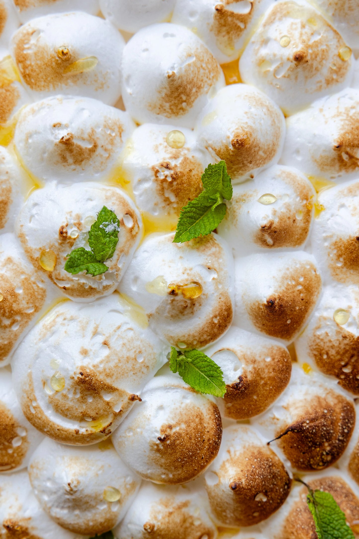 Lemon / Orange Pie